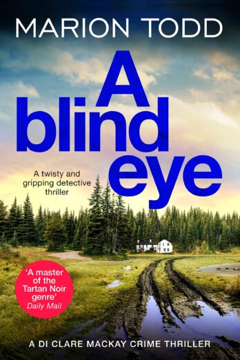A Blind Eye (Detective Clare Mackay Book 7)